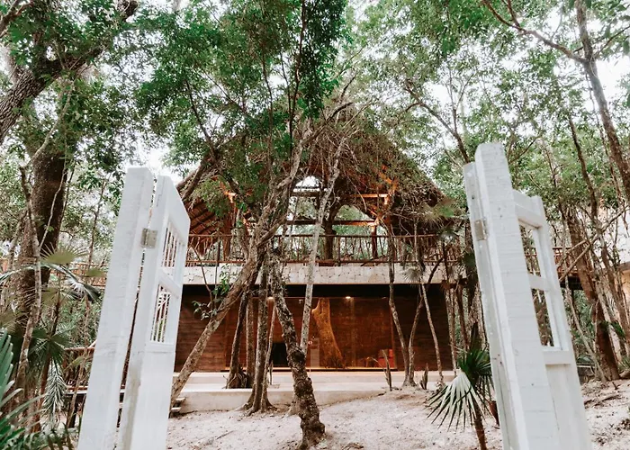 Tulum Jungle Agua Holiday home Chemuyil