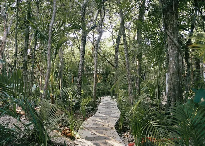 Tulum Jungle Agua Holiday home *